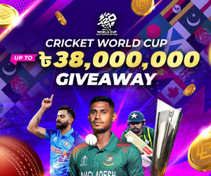 mega cricket world